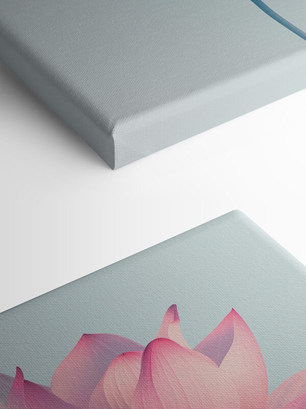 Fleur rose et blanche Fleur rose et blanche