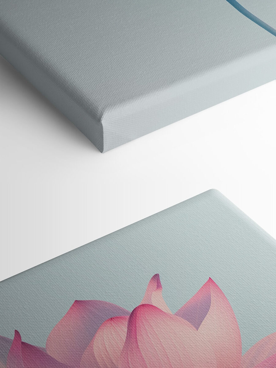 Fleur rose et blanche Fleur rose et blanche