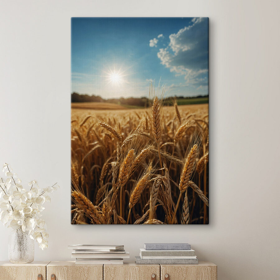 Champ de blé avec le soleil en arrière-plan