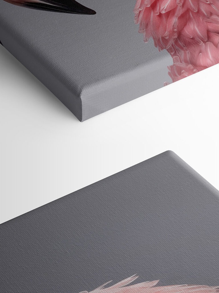 Close up of a pink flamingo