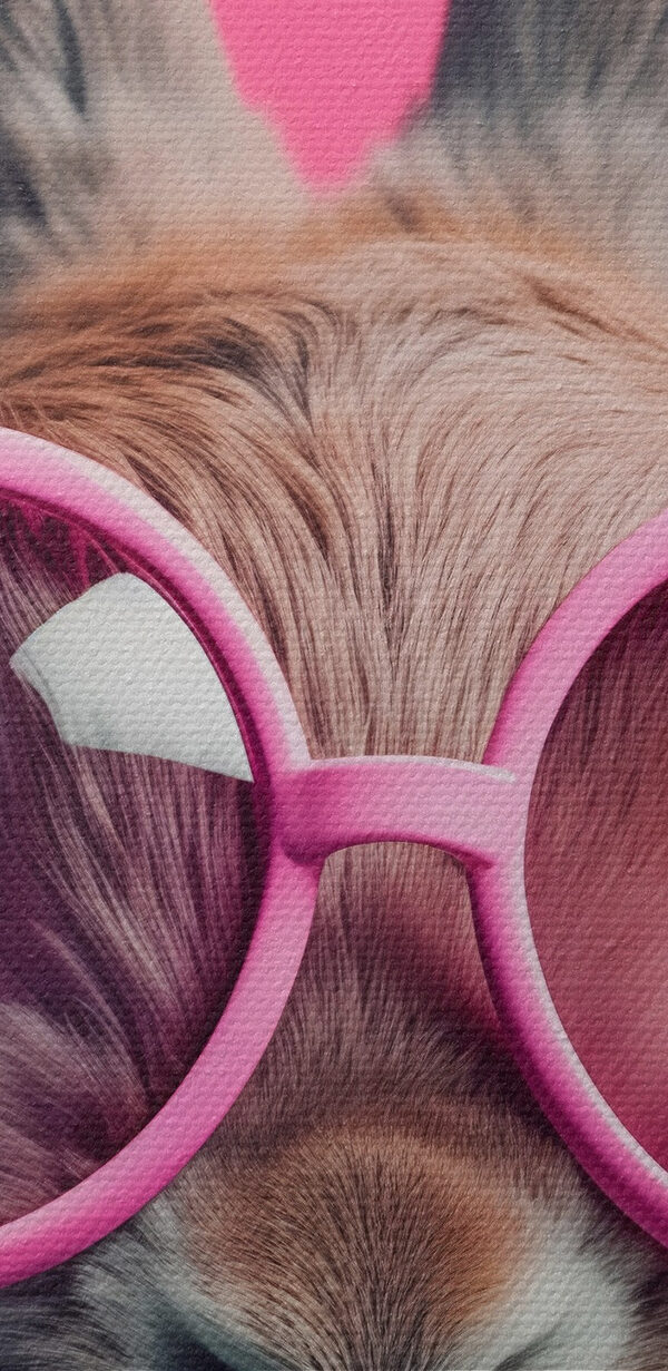 Lapin portant des lunettes roses Lapin portant des lunettes roses