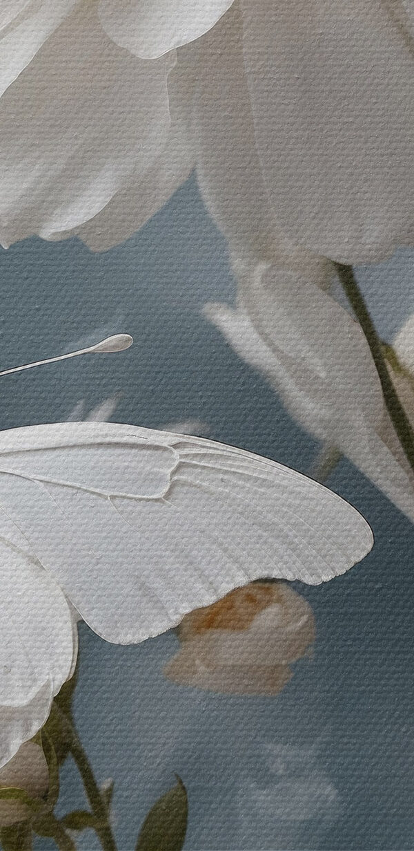 Papillon sur une fleur Papillon sur une fleur