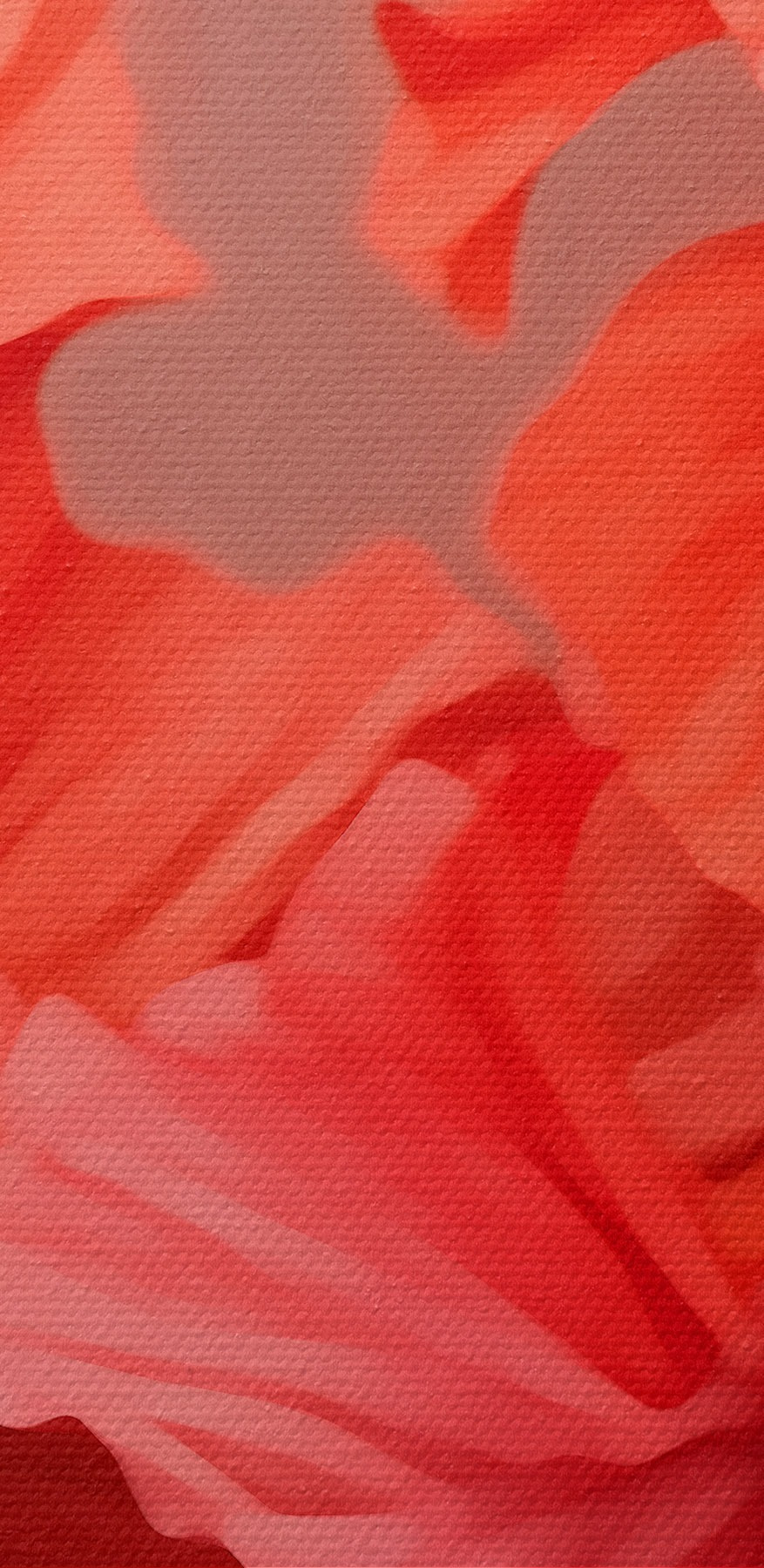 Des fleurs vibrantes dans des teintes douces