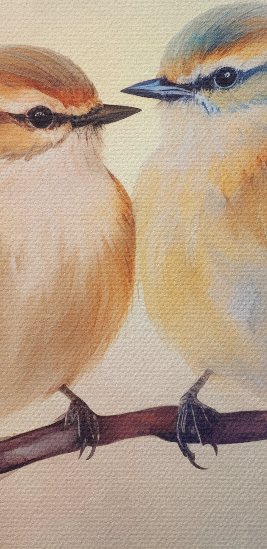 Deux oiseaux sur une branche