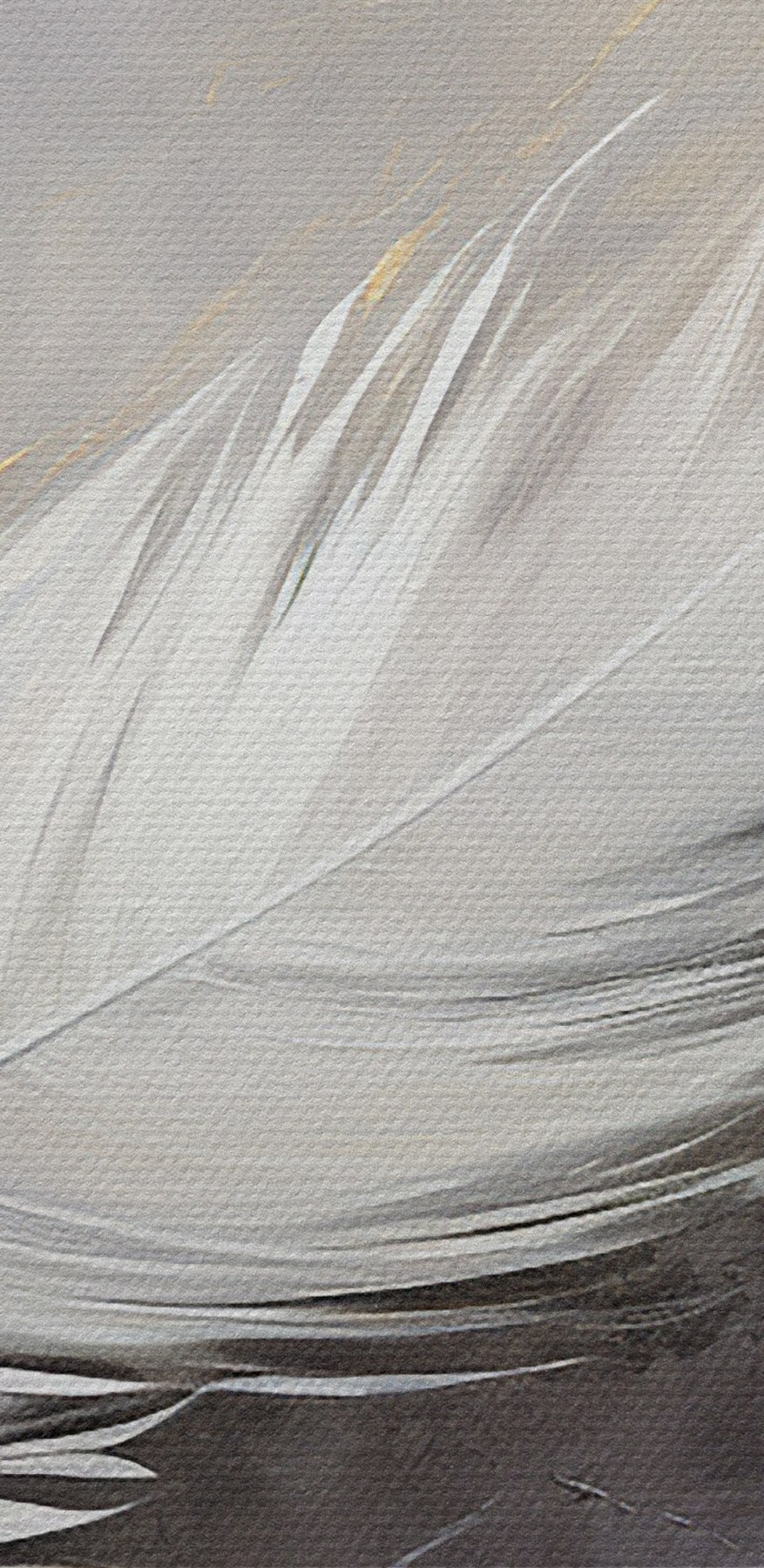Plume blanche sur fond gris