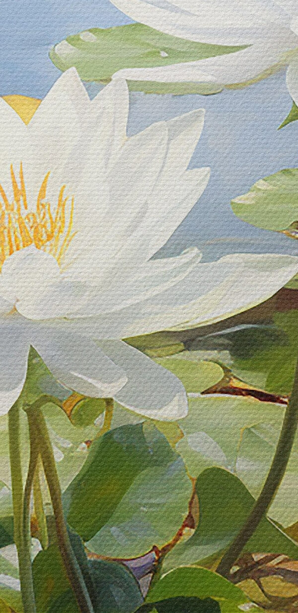 Groupe de fleurs blanches dans un étang Groupe de fleurs blanches dans un étang
