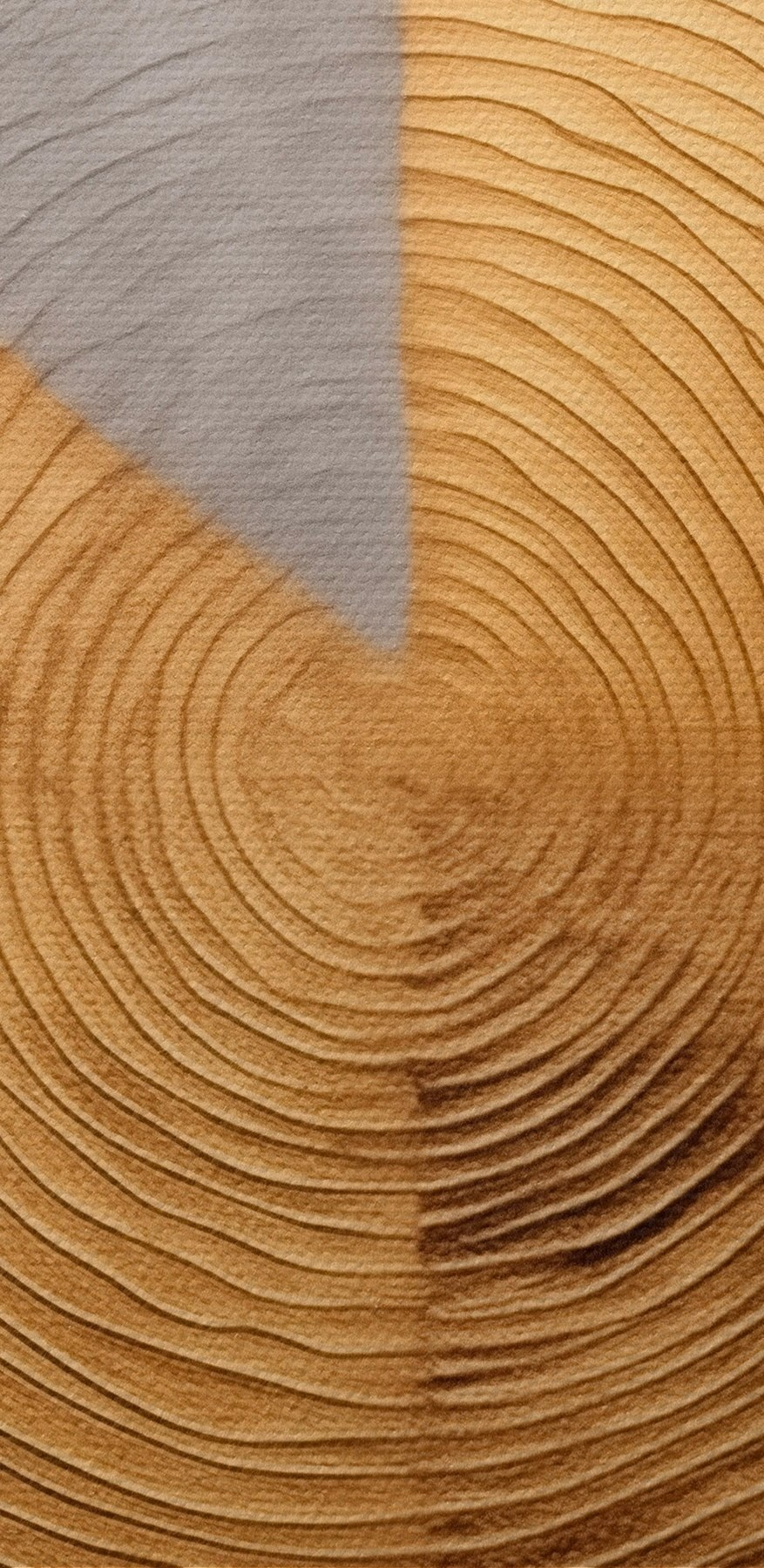 Cercles texturés dans des tons contrastés.