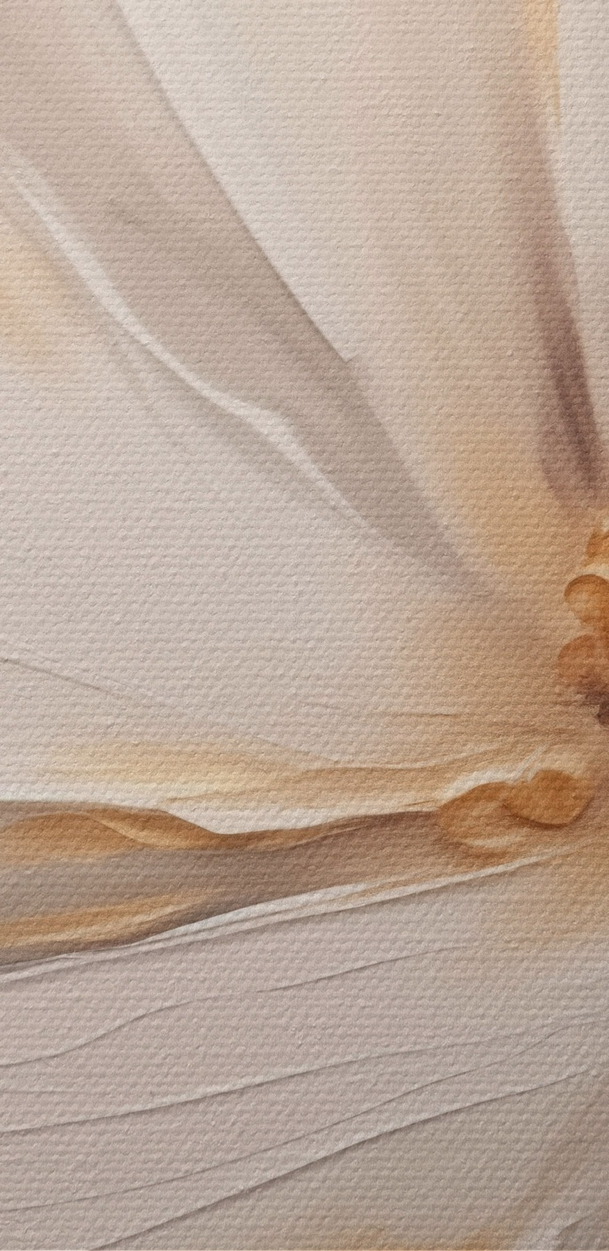 Peinture d'une fleur blanche