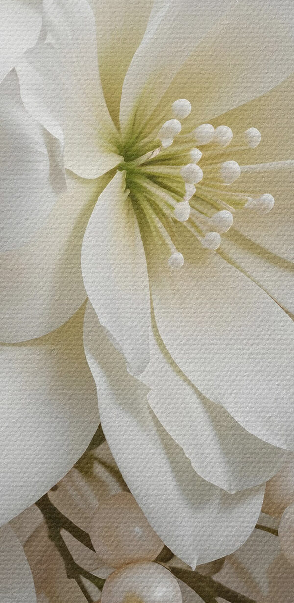 Bouquet élégant de fleurs blanches douces Bouquet élégant de fleurs blanches douces