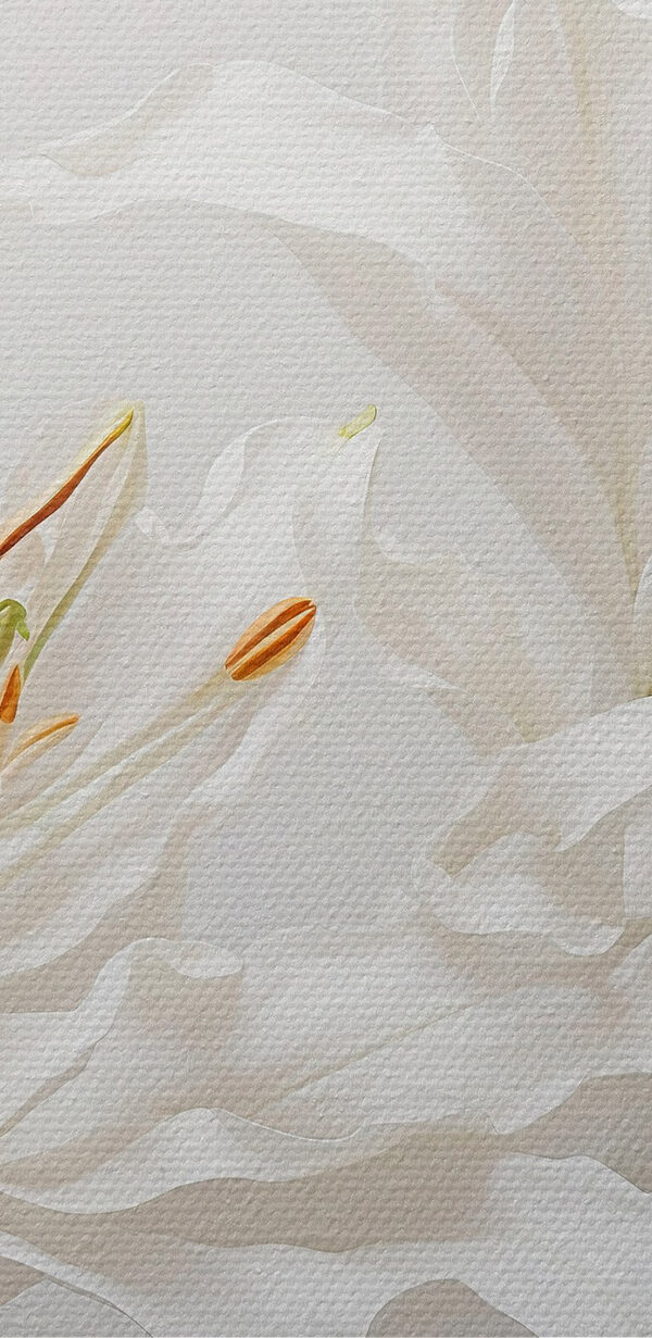 Groupe de fleurs blanches Groupe de fleurs blanches