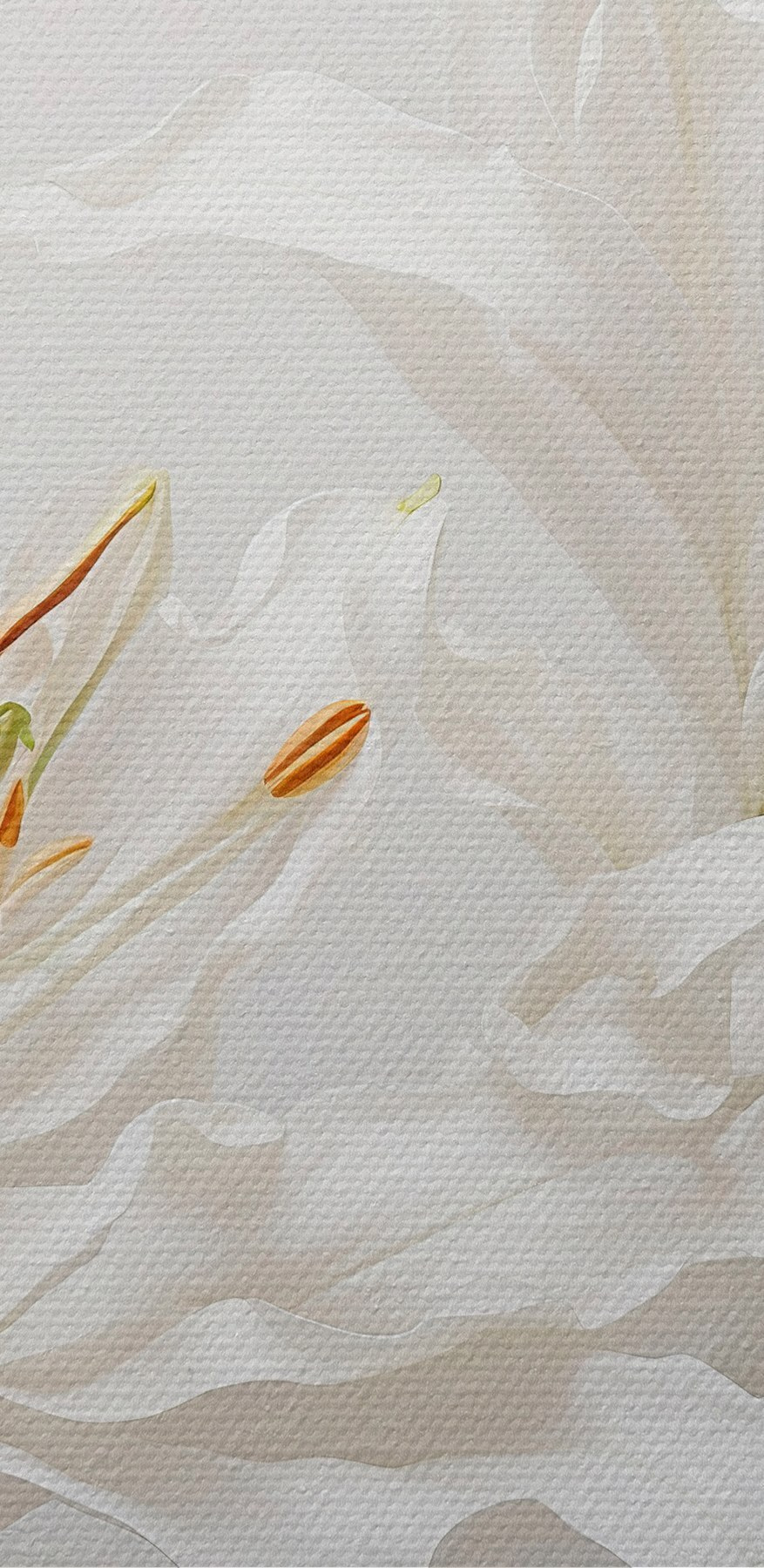 Groupe de fleurs blanches