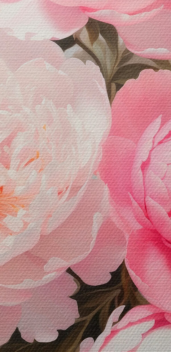 Groupe de fleurs roses et blanches Groupe de fleurs roses et blanches