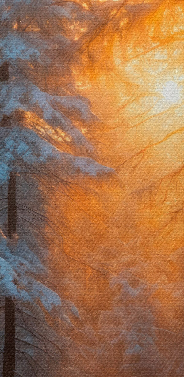 Forêt enneigée avec des arbres et un ruisseau Forêt enneigée avec des arbres et un ruisseau