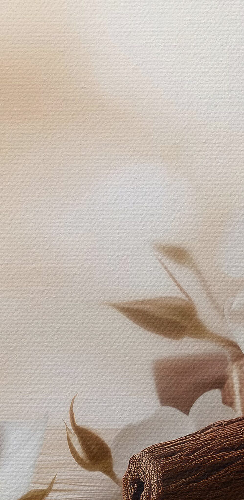 Group of white roses and cinnamon sticks in water