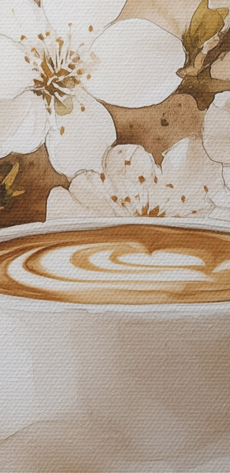 Café et macarons