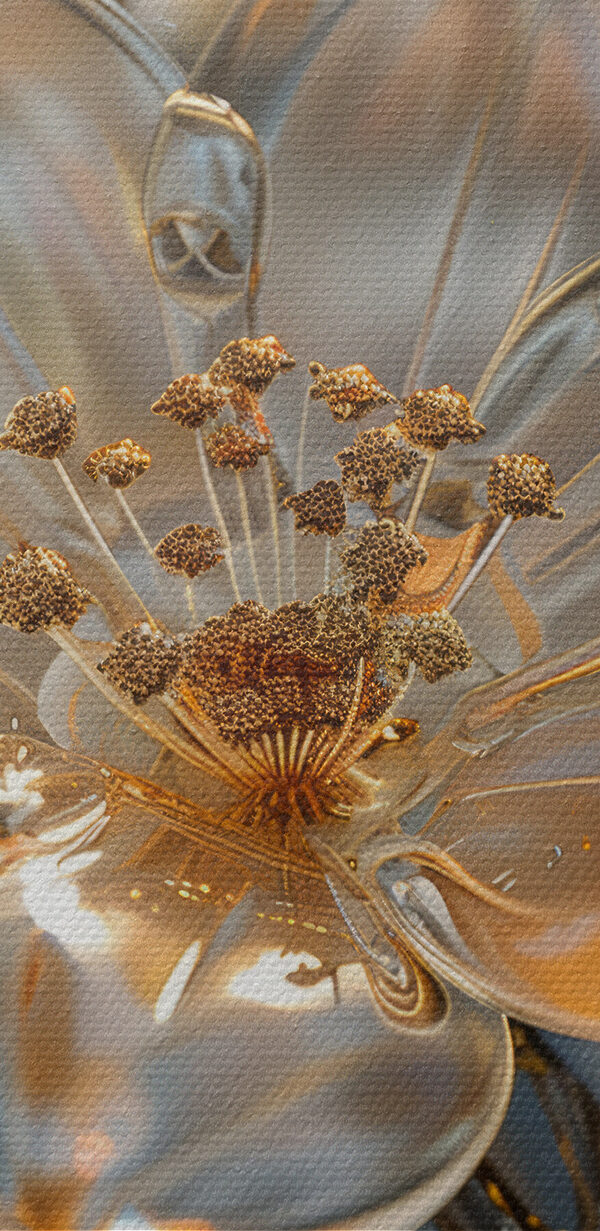Des fleurs délicates aux teintes douces Des fleurs délicates aux teintes douces