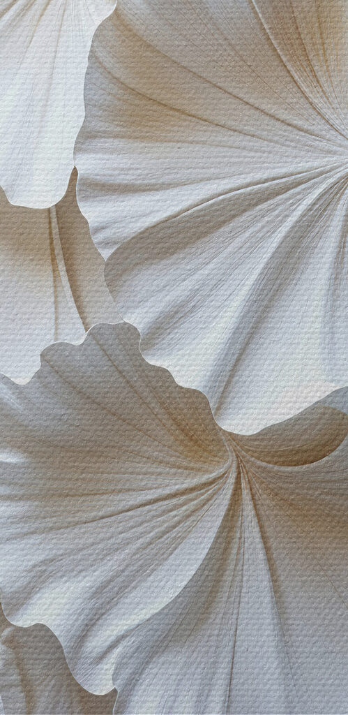 Group of white leaves Group of white leaves