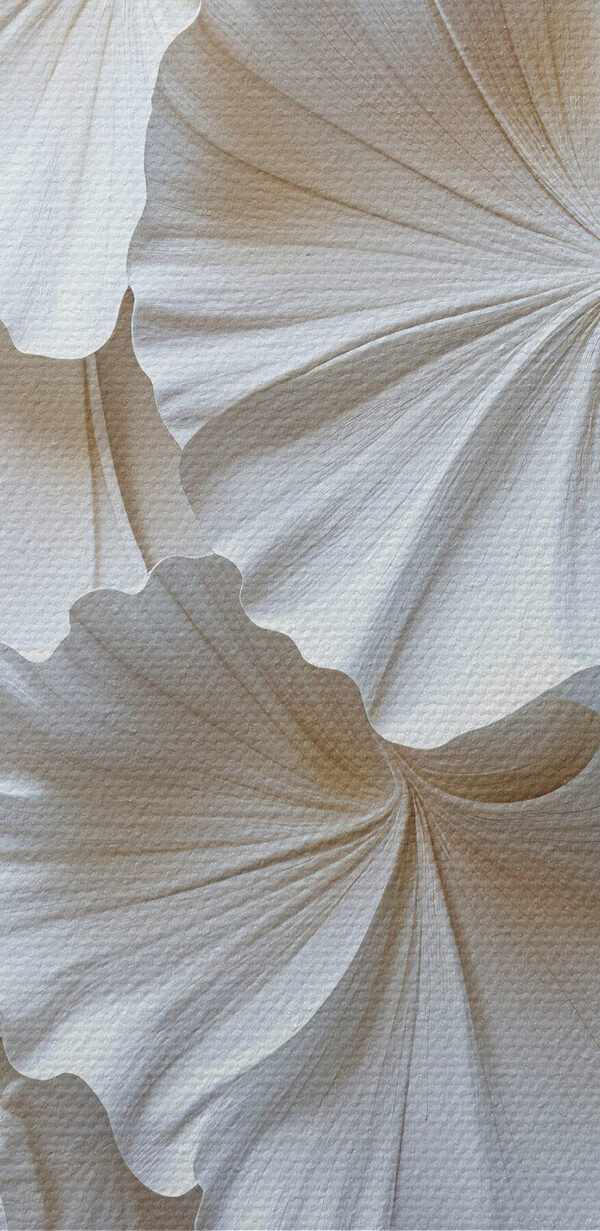 Groupe de feuilles blanches Groupe de feuilles blanches