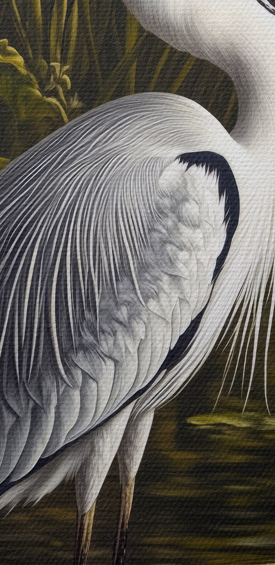 Oiseau debout dans l'eau