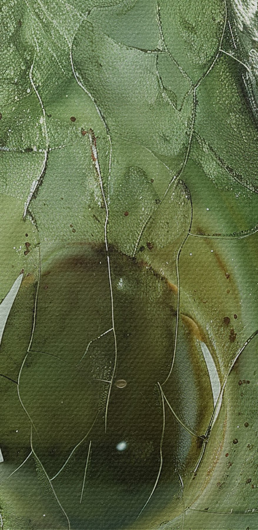 Interprétation artistique d'un avocat mûr Interprétation artistique d'un avocat mûr