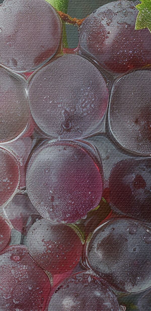Grappe de raisins avec des gouttes d'eau sur le dessus Grappe de raisins avec des gouttes d'eau sur le dessus