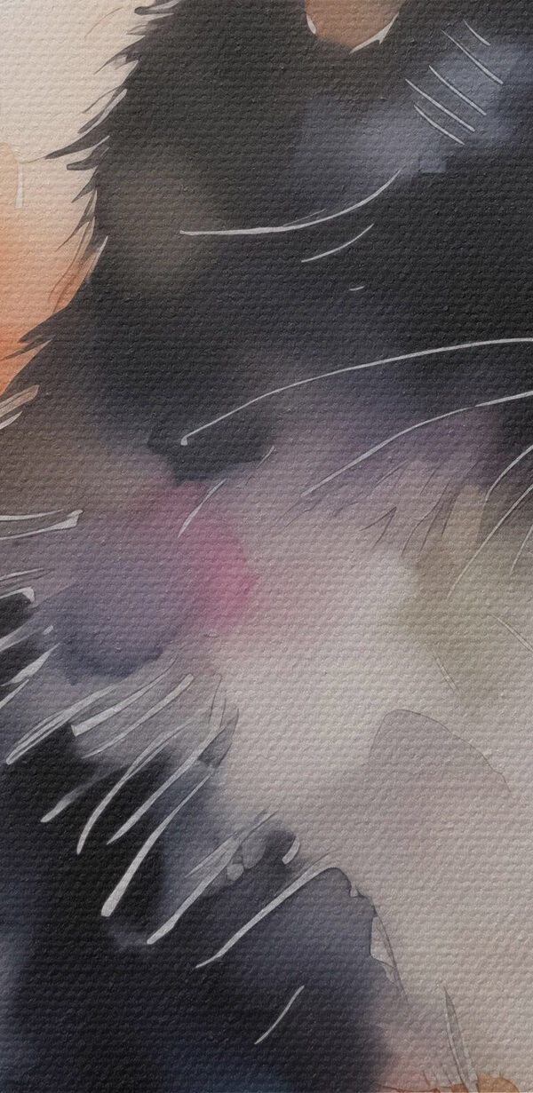 Chat au visage blanc et noir Chat au visage blanc et noir