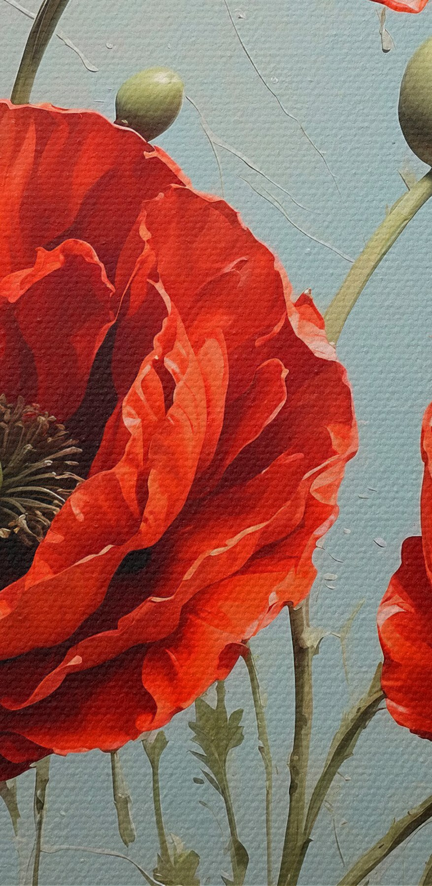 Des coquelicots d'un rouge éclatant en fleurs.