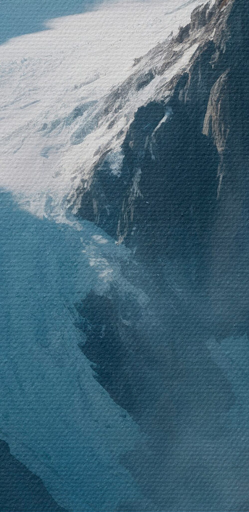 Snowy mountain with trees and snow