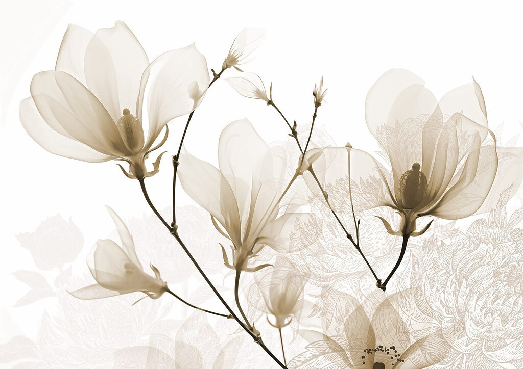 Des fleurs délicates aux teintes douces Des fleurs délicates aux teintes douces