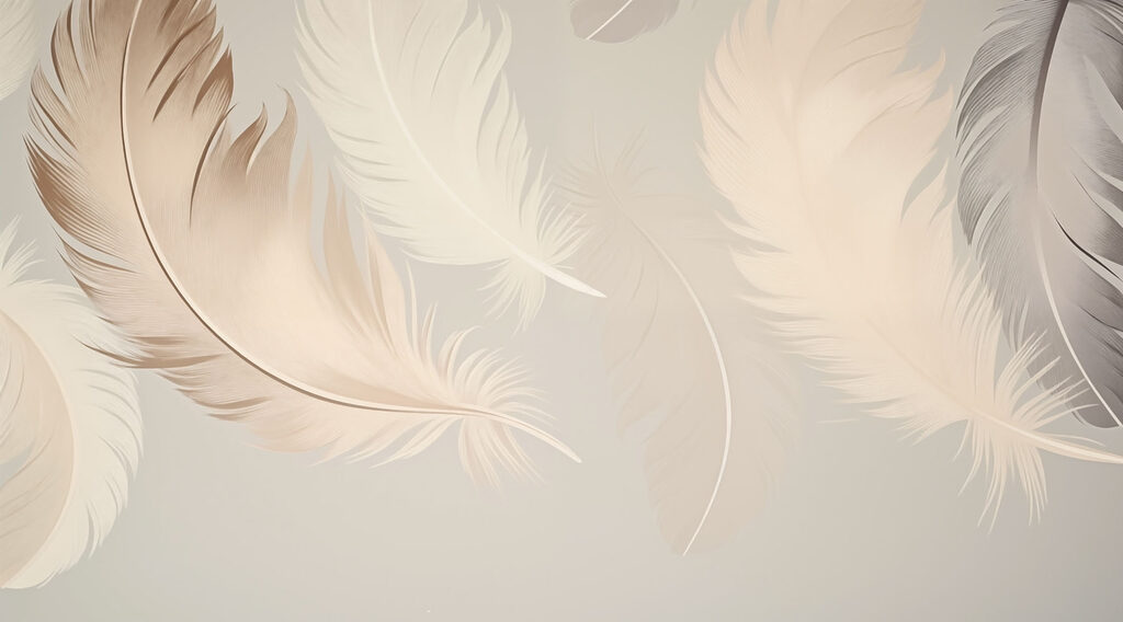 Groupe de plumes sur fond blanc Groupe de plumes sur fond blanc