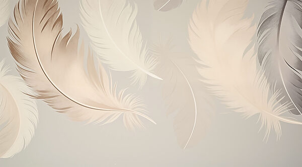 Groupe de plumes sur fond blanc Groupe de plumes sur fond blanc