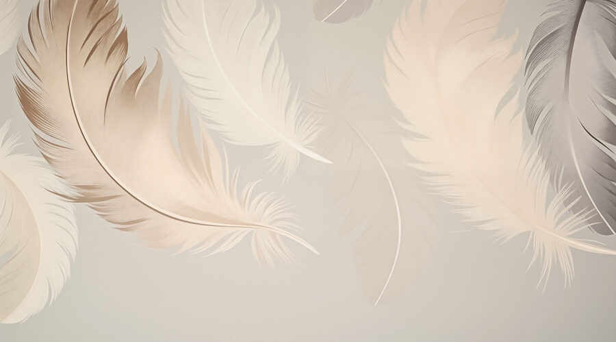 Groupe de plumes sur fond blanc Groupe de plumes sur fond blanc