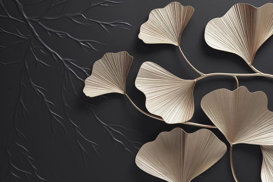 Feuilles délicates sur fond sombre