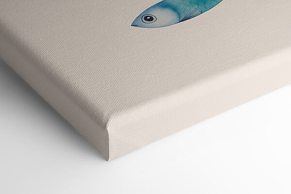 Groupe de poissons de couleurs différentes Groupe de poissons de couleurs différentes