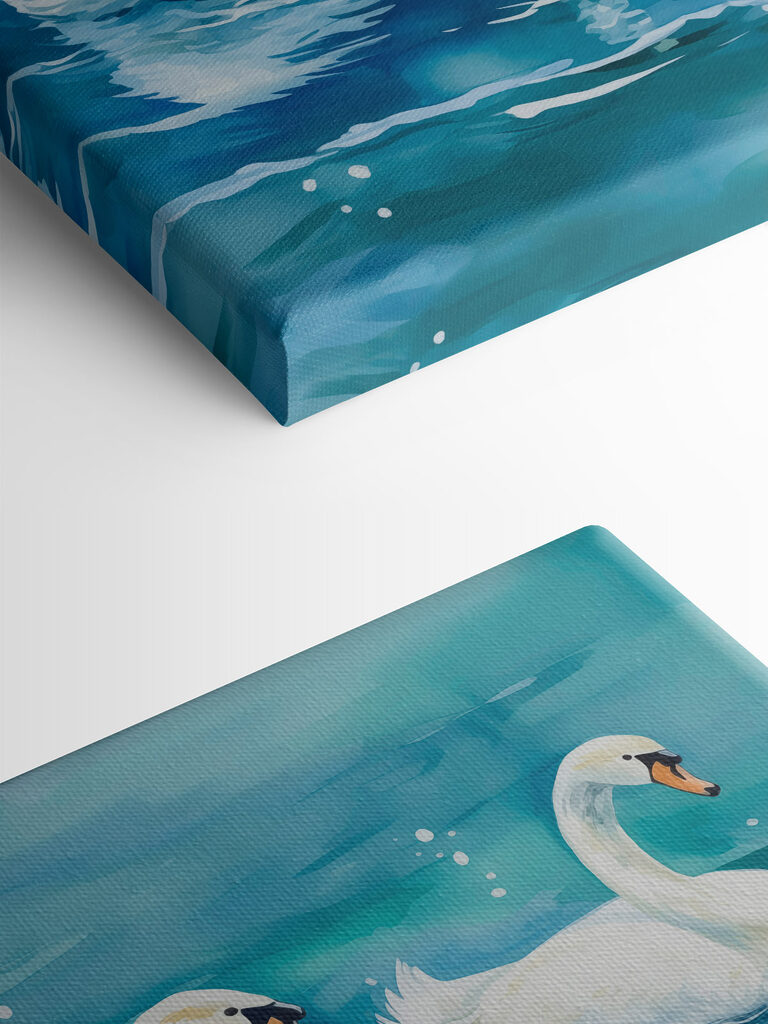 Two swans swimming in water Two swans swimming in water