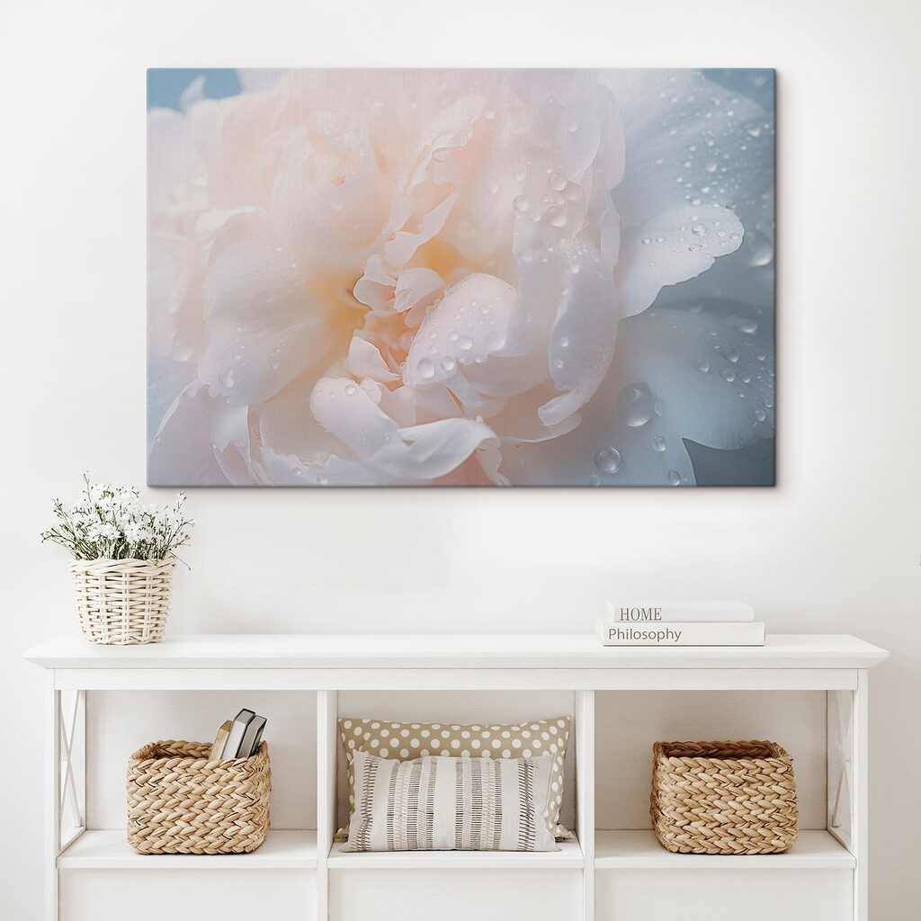 Delicate petals with glistening droplets Delicate petals with glistening droplets