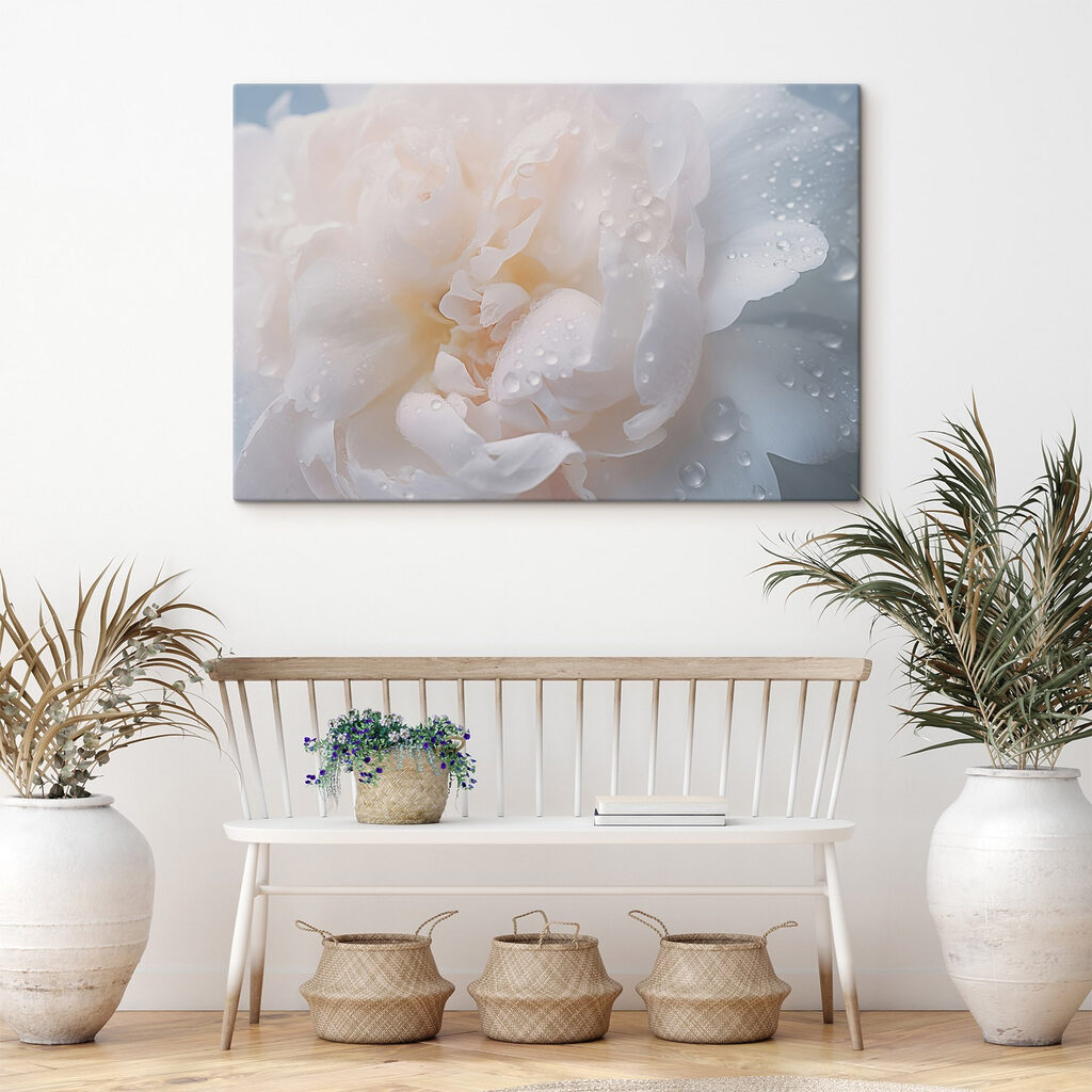 Delicate petals with glistening droplets Delicate petals with glistening droplets