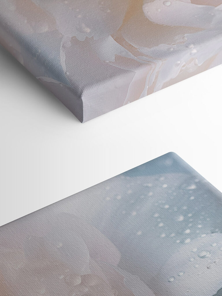 Delicate petals with glistening droplets Delicate petals with glistening droplets