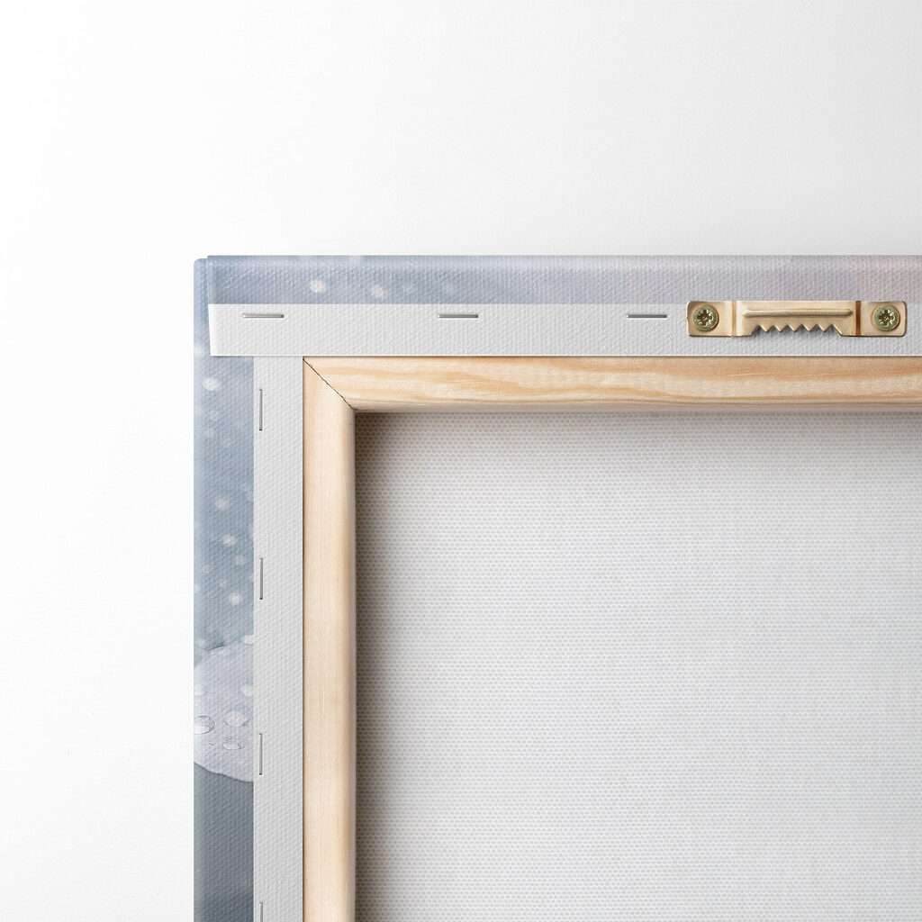 Delicate petals with glistening droplets Delicate petals with glistening droplets