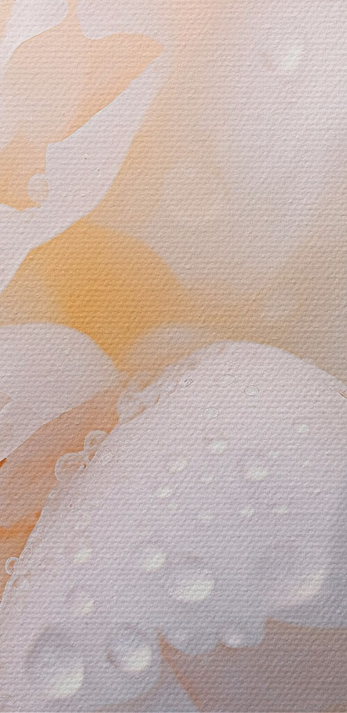 Delicate petals with glistening droplets Delicate petals with glistening droplets