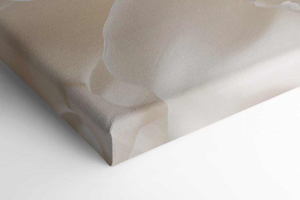 Delicate petals in soft hues