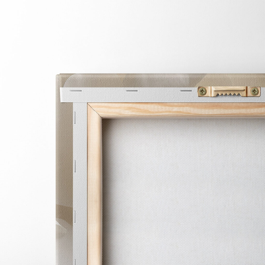 Delicate petals in soft hues