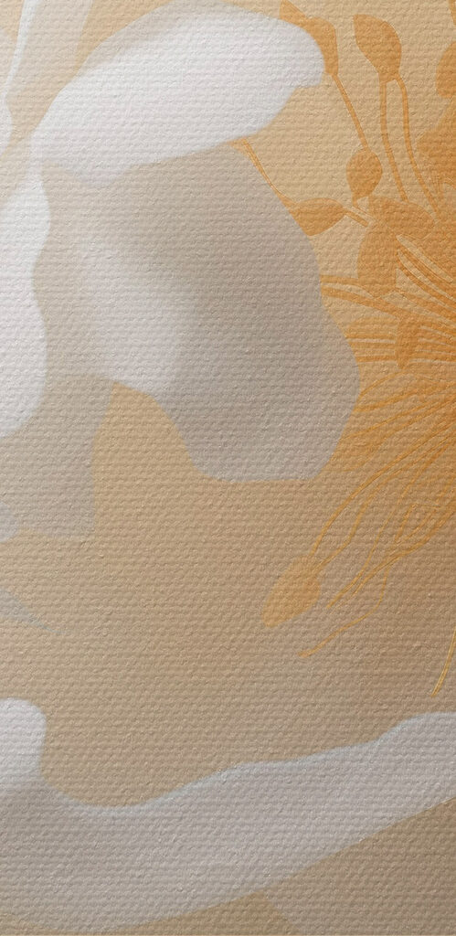 Delicate petals in soft hues