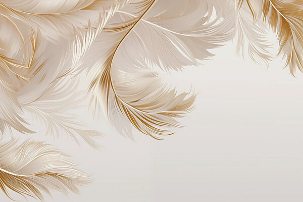 Plumes élégantes dans des teintes douces. Plumes élégantes dans des teintes douces.