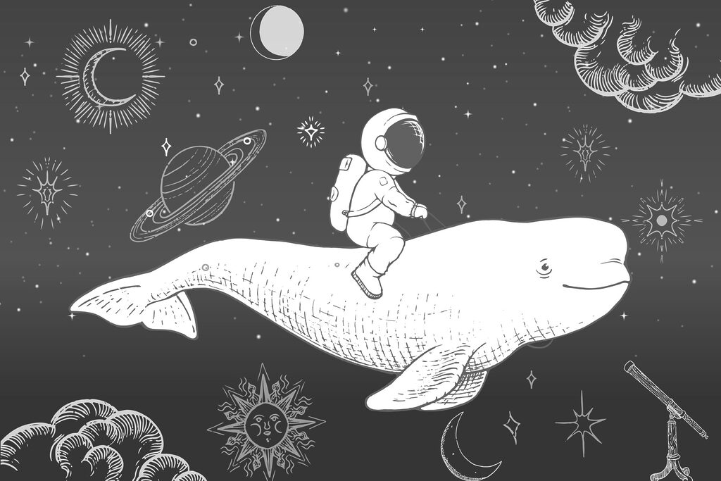 Dessin d'une personne chevauchant une baleine Dessin d'une personne chevauchant une baleine