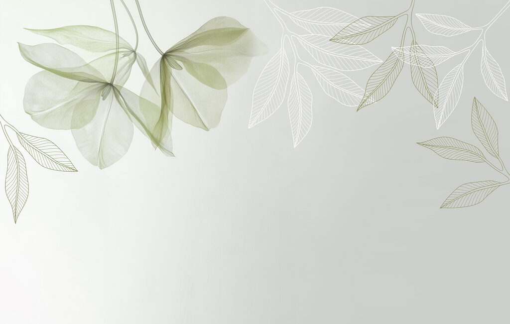 Feuilles douces dans des teintes tendres Feuilles douces dans des teintes tendres