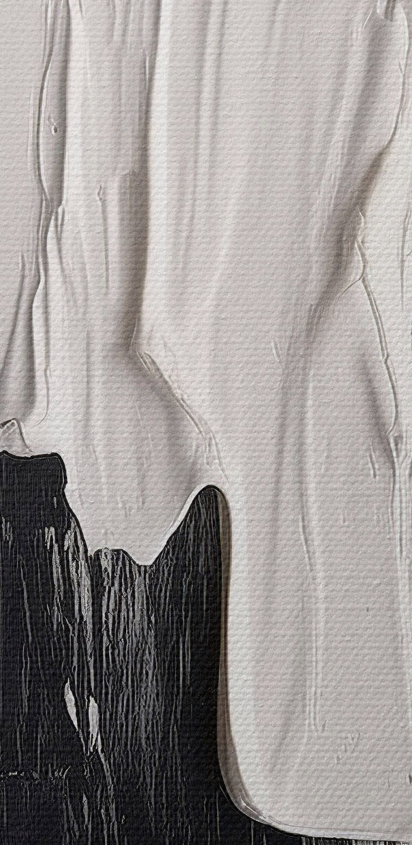 Peinture blanche et noire sur une surface blanche Peinture blanche et noire sur une surface blanche