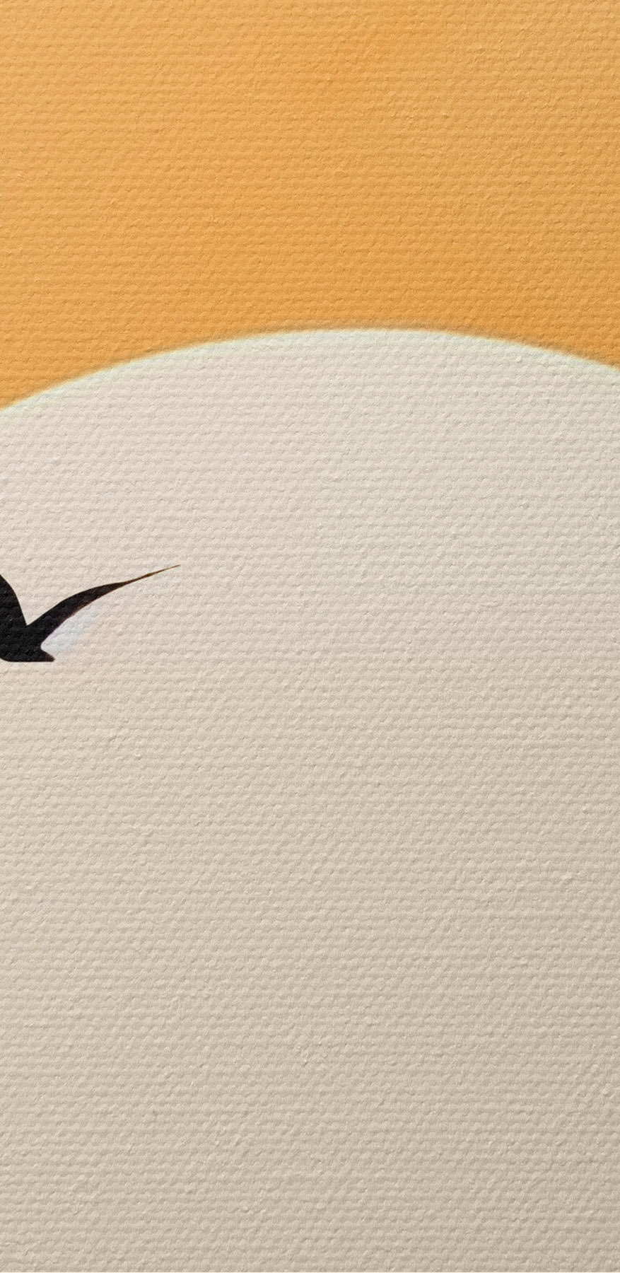 Oiseau volant dans le ciel