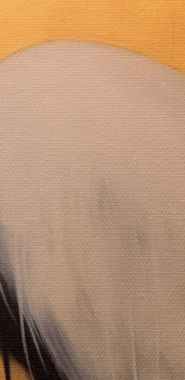 Peinture d'une grue Peinture d'une grue