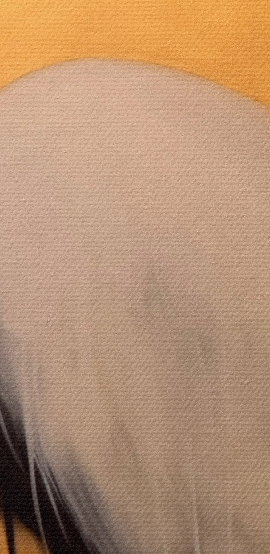 Peinture d'une grue Peinture d'une grue